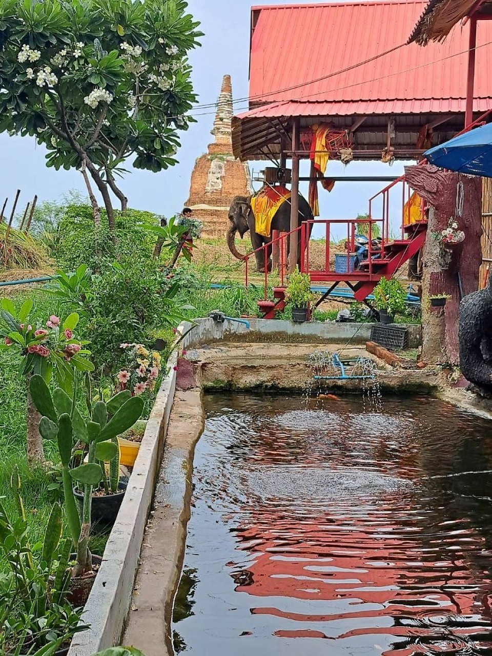 เหมารถท่องเที่ยวทั่วไทย